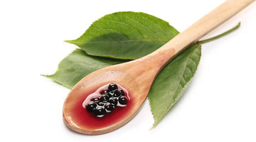 How Does Elderberry Fight Flu?