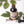 2 oz Sweet's Elderberry Tincture bottle with dropper top